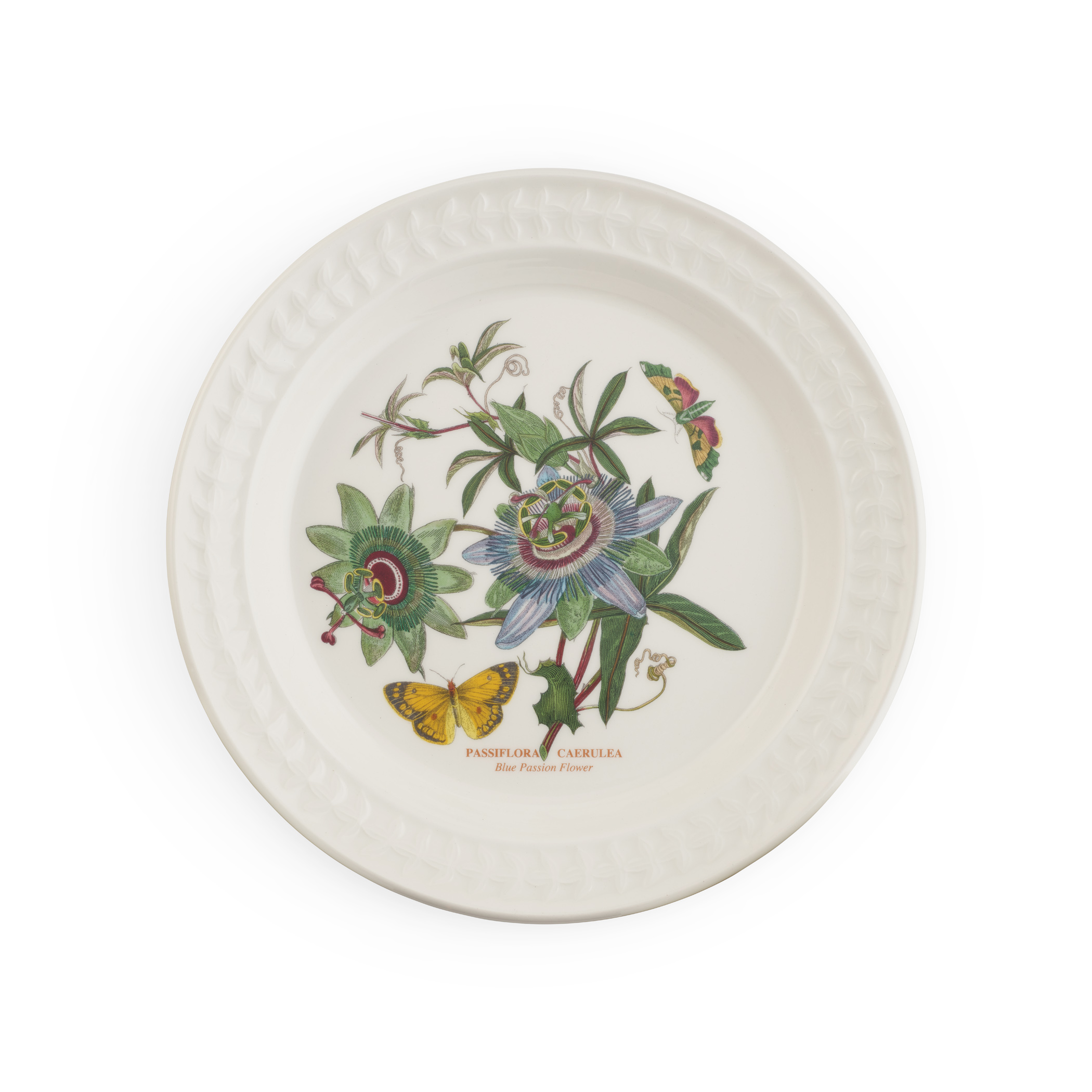 Botanic Garden Harmony Papilio Amber 10.5 Inch Dinner Plate (Blue Passion) image number null